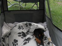 IMG 2366  ...zelten....