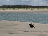 IMG 2421  ...Strand....