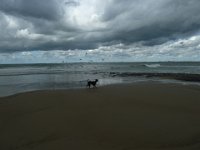 P1020803  ...
