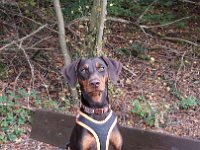IMG 1473  ... ist sie nicht umwerfend???...