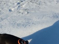 IMG 1642  ...Wo sind die Mäuse???...