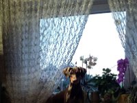 IMG 1646  ...wie schaut man am Besten aus dem Fenster?...