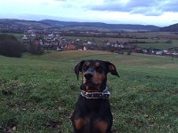 IMG 1671  ...für alles!!!!....