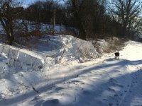 IMG 1628  ...diese Verwehungen...und diese Sonne...