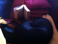 IMG 1690  ...und bilden muss &#39;Hund&#39; sich auch ;-P....