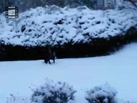 IMG 1694  ...und erster Schnee!!!!