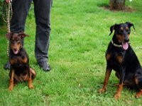 Nana Attila 8826  ...hier im Juli mit Bruder Attila ...