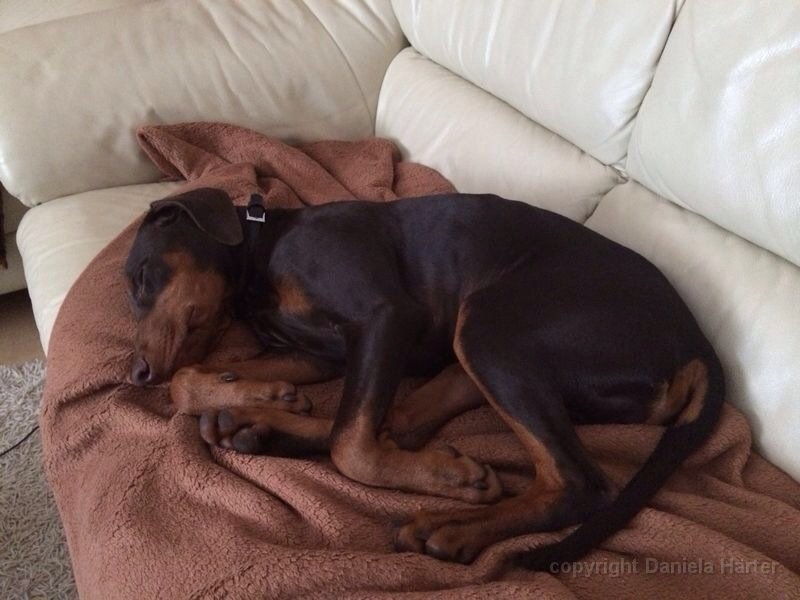 Cuba-Charly_20140629_657