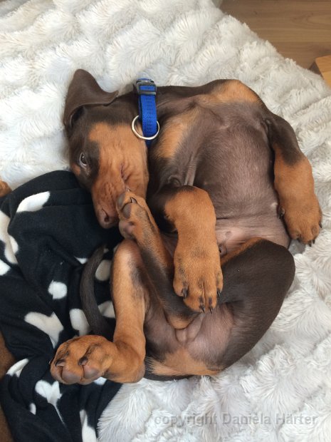 Cuba-Charly_IMG_0300