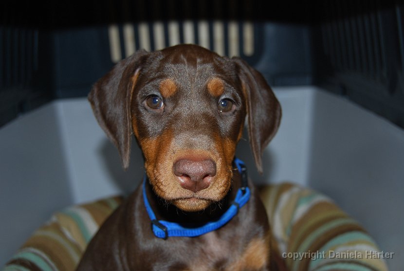 Cuba-Charly_IMG_0308