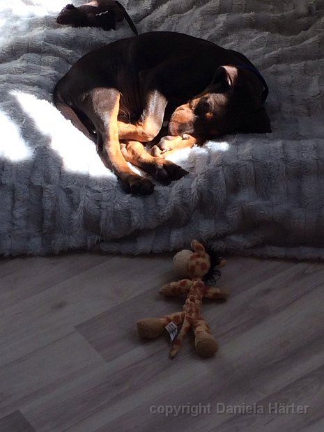 Cuba-Charly_IMG_0419