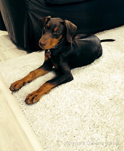 Cuba-Charly_IMG_0446