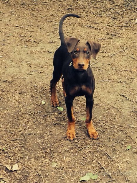 Cuba-Charly_IMG_0451