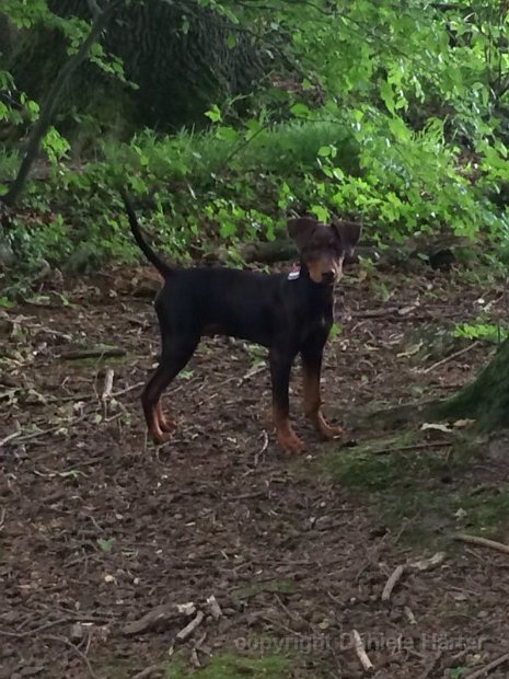 Cuba-Charly_IMG_0452