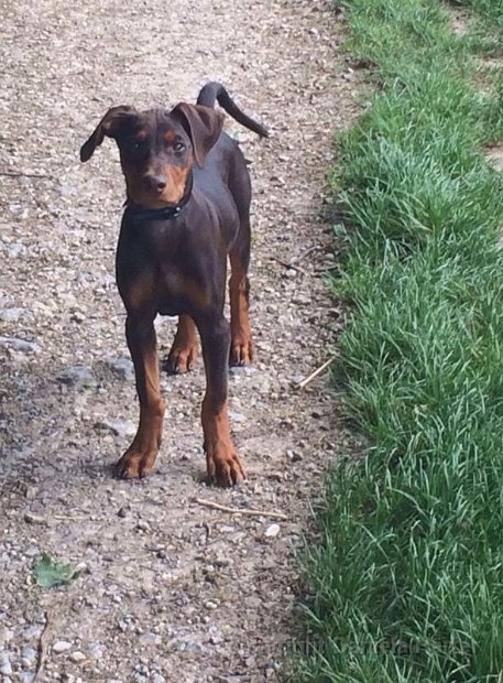 Cuba-Charly_IMG_0453