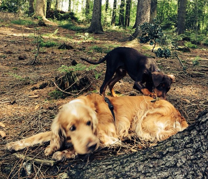 Cuba-Charly_IMG_0458