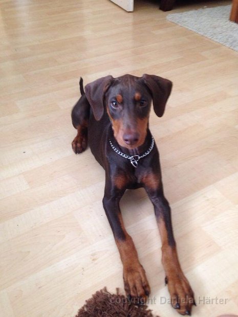 Cuba-Charly_IMG_0478