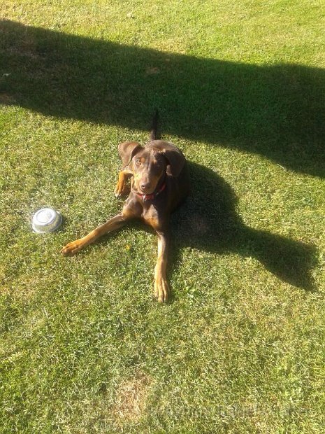 Nero-Connor_20140629_659