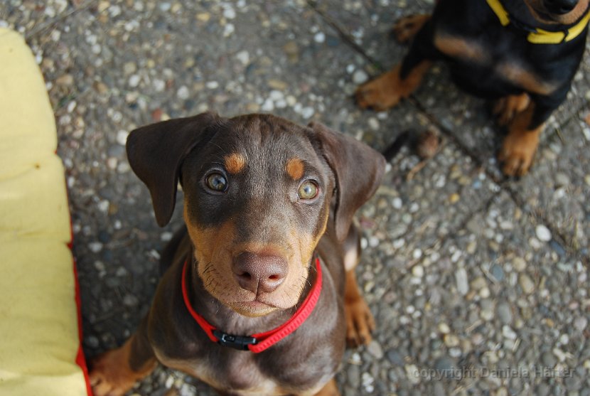 Nero-Connor_DSC_8538