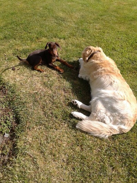 Nero-Connor_IMG_0444