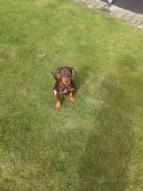 Nero-Connor_IMG_0445