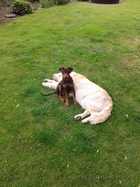 Nero-Connor_IMG_0450