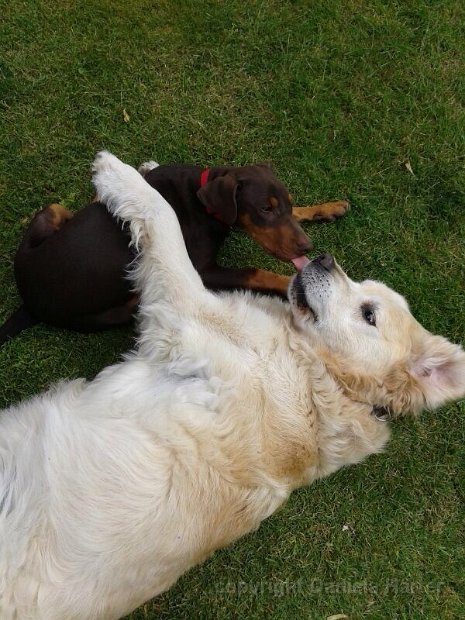 Nero-Connor_IMG_0456