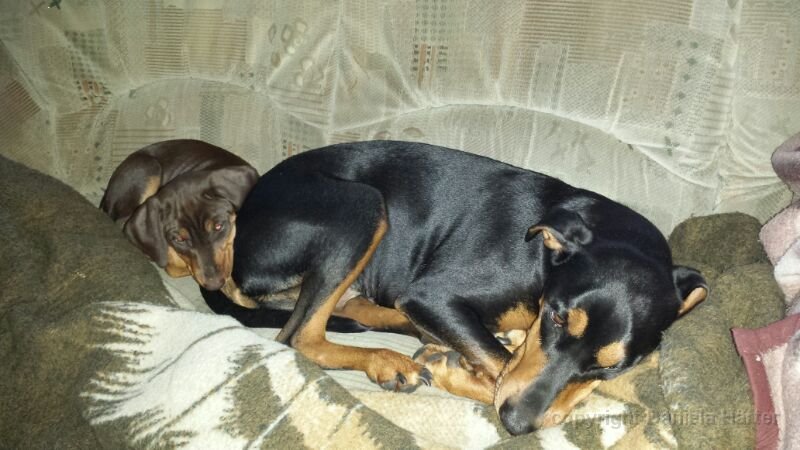 DSC_8615_Claire_Arcas